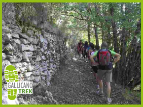 Escursionisti sul sentiero in pietra nel bosco - Gallicano Trek